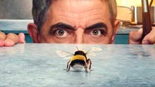 Человек против пчелы 1 сезон 10 серия онлайн
