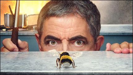 man-vs-bee-netflix-1 (900x506, 86 kБ...)